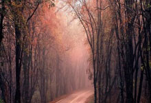 雷火电竞下载-日本队翻盘韩国队，辛杜关键制胜