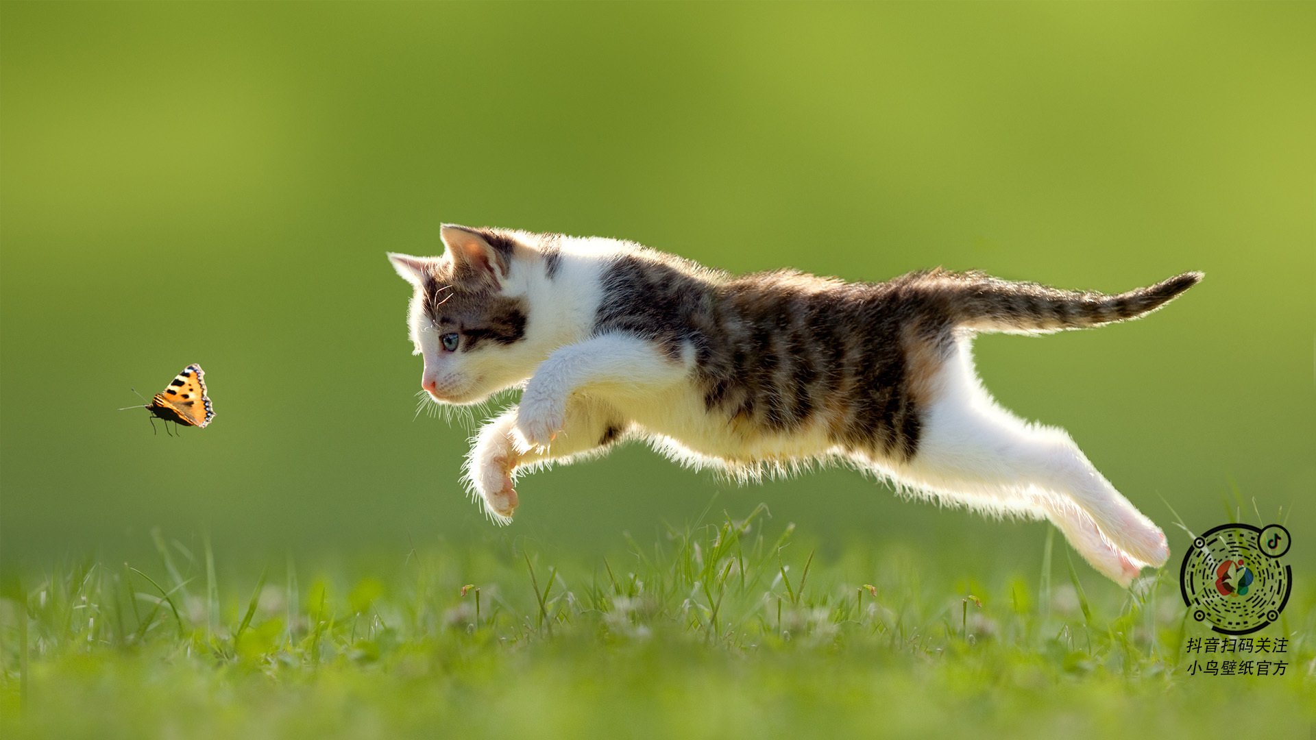 冰火双城记，欧文的极夜独舞与爵士的燎原血战