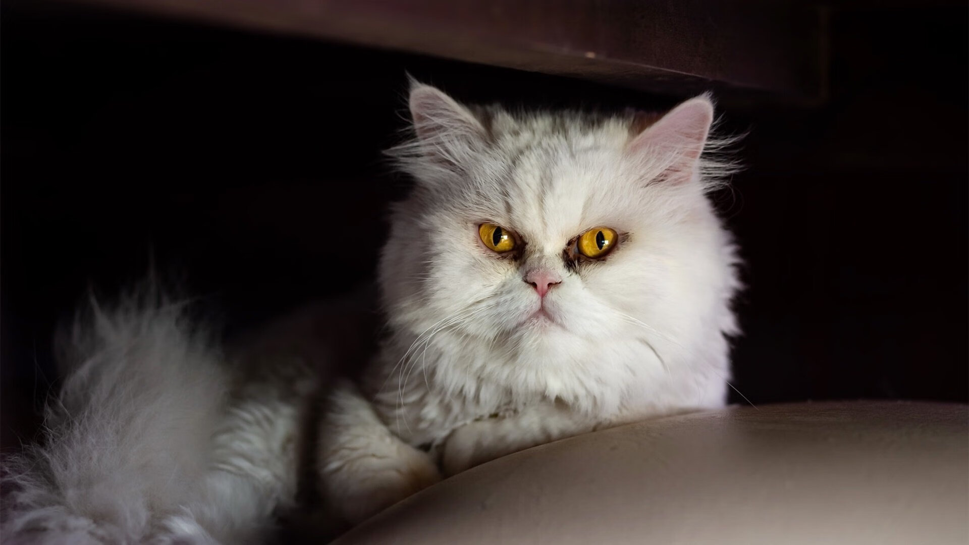 当争冠之夜遇见苦行僧，三笘薰在深渊边缘完成的自我救赎