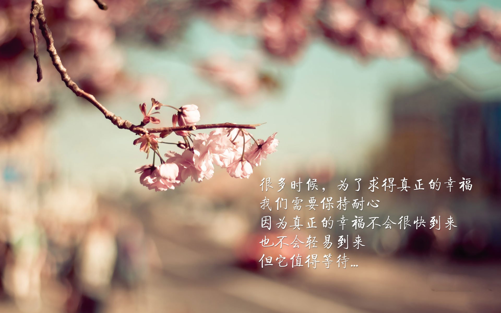 他不是乔丹,只是穿越了纽约每一道裂缝的镜像